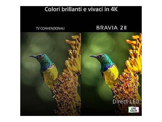 Sony K-75B20 TV LED 75" Smart TV Google TV 4K UHD Processore 4K X1 COD BRAVIA 2 II